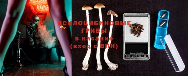 spice Надым
